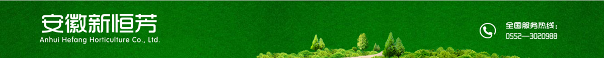 安徽恒芳園藝有限公司